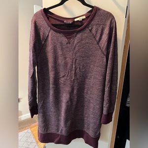 Banana Republic sweatshirt tunic with side zips